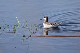 Thomas Bancroft (@gtbancroft) • Instagram photos and videos