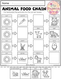 Kindergarten Science Life Science Kindergarten Science Life Science Lessons Science Worksheets