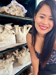 Frog King of the Mushrooms in Fungi