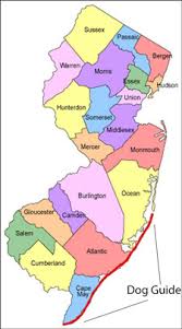 Party boats leaving the marina at 6am sharp. Where You Can Take Your Dog Along The Jersey Shore Lbi Cape May Whyy