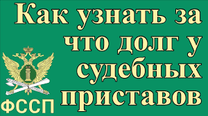 Kak Uznat Za Chto Dolg U Sudebnyh Pristavov Po Familii Youtube