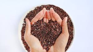 Jadi, anda bisa makan nasi jagung dengan porsi lebih banyak tapi dengan kalori yang sama. Sumber Karbohidrat Selain Nasi Putih Dan Rendah Kalori Merdeka Com