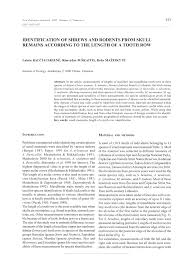 Pdf Identification Of Shrews And Rodents From Skull Remains