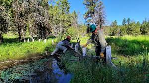 Press Releases and Reports