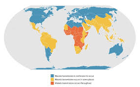 A forum for sharing news on malaria, ntds and other tropical health issues. Cdc Malaria About Malaria Where Malaria Occurs