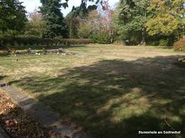 Mit ihrer hilfe können andere von erfahrungsberichten aus erster hand profitieren! Friedhof Markkleeberg Kommunal Ein Ort Der Besinnung Und Der Ruhe