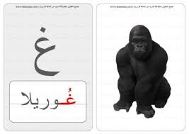 حرف كلمة صورة بطاقات الحروف الحيوانات 6 12