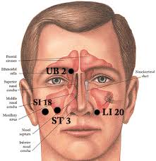 Acupressure Points For Sinus Congestion And Nasal Problems