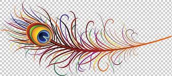 A Beautiful Peacock Feathers Free Png Transparent Layer Design Layers Design Free Png Feather Painting