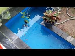 Kolam Ikan Hias Mini Dan Kelengkapannya Youtube Kolam Ikan Kolam Taman