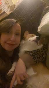 Happy Thanksgiving from our corgis: Chip, Griff and Bandit.  ❤️🐾🐾❤️🐾🐾❤️🐾🐾❤️🧙‍♀️🦃🧙‍♀️