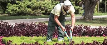 Was kostet so ein kleingarten in hamburg überhaupt? Helfer Fur Gartenarbeiten Wichtige Fragen Und Antworten Studiwork