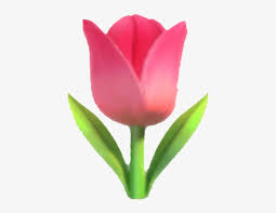 It is represented by the shortcode :rose P I N K F L O W E R E M O J I Zonealarm Results