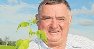 Buckwheat fills production gap