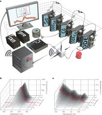 Bigcatmia erome incall is definitely not perfect though