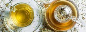 Salus venkel thee ingredienten biologische venkel, vruchten gebruik giet kokend water op het filterzakje. Venkelthee Alles Wat Je Over Thee Moet Weten Theeblog