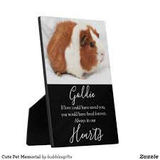 Cute Pet Memorial Plaque Zazzle Com Pet Memorials Pet Memorial Plaque Memorial Plaque