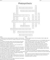 We did not find results for: Photosynthesis And Cellular Respiration Crossword Wordmint