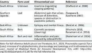 Image result for Pleurostylia capensis