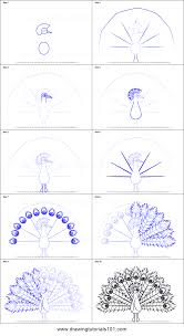 Nicepng also collects a large amount of related image material. Peacock Drawing Step By Step At Paintingvalley Com Explore Collection Of Peacock Drawing Step By Step