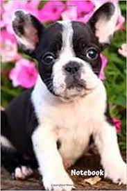 When autocomplete results are available use up and down arrows to review and enter to select. Notebook White And Black Spotted French Bulldog Puppy 120 Page Lined Collage Journal Designs Tj 9781095917534 Amazon Com Books