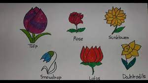 We did not find results for: How To Draw And Colouring Flowers For Kids Learn Flower Names In English School Project Youtube