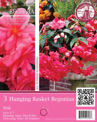 We did not find results for: Pink Hanging Basket Begonia Flower Bulbs 3 Count At Menards