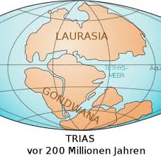 Neuseeland liegt auf dem kontinent ozeanien. Zealandia Neuer Kontinent Unter Neuseeland Welt