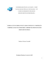 Download unesp vector (svg) logo by downloading this logo you agree with our terms of use. Fillable Online Www2 Fct Unesp Robson Chacon Castoldi Unesp Campus De Presidente Fax Email Print Pdffiller