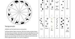 Check spelling or type a new query. Spurenuhr Pdf Spurenuhrpdf Tierspuren Im Schnee Spuren Im Schnee Waldtiere