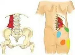 Pin On Neck Back Pain Treatments
