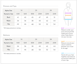 65 Timeless Kensie Girl Size Chart