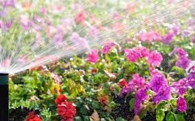 Check spelling or type a new query. 2021 Sprinkler System Cost In Ground Automatic Drip Systems