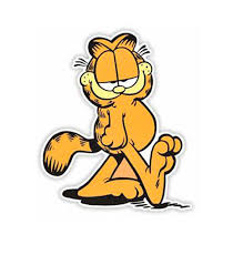 Image result for garfield