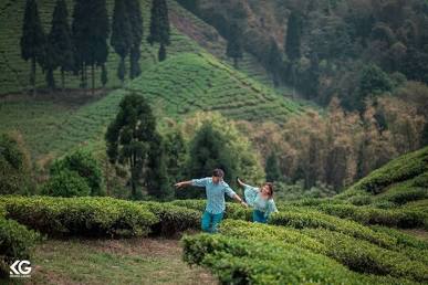 Things to Do in Munnar for Honeymoon: Romantic Guide