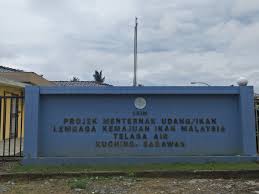 Isp:telekom malaysia berhad tld:my countrycode:my. Lkim On Twitter Lawatan Ybhg Dato Kp Msaedon Ke Kolam Ternakan Udang Pnk Satang Biru Mempunyai 29 Buah Kolam Semua Dgn Total Pengeluaran Bernilai Lebih Rm650 000 130tm Bg Thun 2017 Semoga Terus