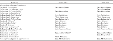 Image result for Commiphora pedunculata