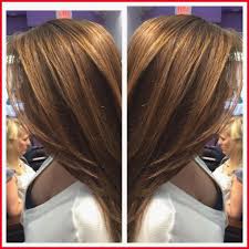 Best Color To Cover Grey Hair Best Color To Cover Grey Hair 457519 Best Hair Color To Cover Gray For Hair Color For Black Hair Covering Gray Hair Biolage Hair