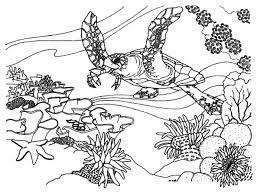 You will need a pdf reader to view these files. Great Barrier Reef Coloring Pages Coloring Home