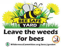 Specialising in wedding flowers, venue decor and. How To Grow A Bee Friendly Garden Wilderness Committee