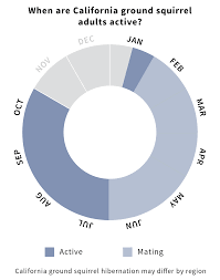 seasonal activity ground squirrel bmps ground squirrel bmps