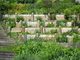 Steep Tiered Garden Ideas Hillside Garden Ideas Theradmommy Home Inside 10 Tiered Garden Ideas Most Amazing As Well As Attractive Tiered Garden Hillside Garden Hillside Garden Ideas