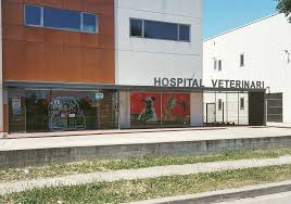 Hospital Veterinari 24h – Hospital Veterinari 24h