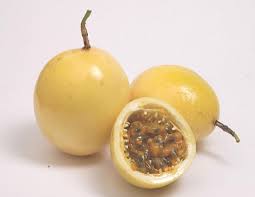 Check spelling or type a new query. 10 Super Fruits Of The Amazon Rainforest Rainforest Cruises