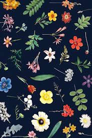 Pin On Awsome Vector Inspiration