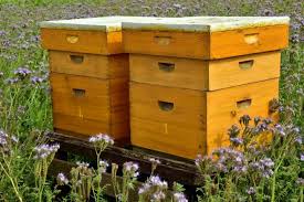 Building an email marketing strategy that increases revenue is easy with hive! 3 Best Types Of Beehives Langstroth Top Bar And Warre Beekeeping 101 The Old Farmer S Almanac