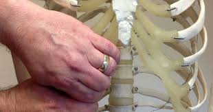 The Slipping Rib Syndrome An Overlooked Cause Of Abdominal Pain