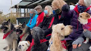 Getting to port townsend is easier than you might think. Read To Rover Dogs Get Portraits In Port Townsend King5 Com