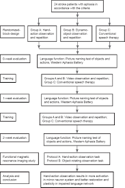 aphasia rehabilitation based on mirror neuron theory a