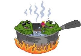 Image result for "We're All Frogs In Boiling Water